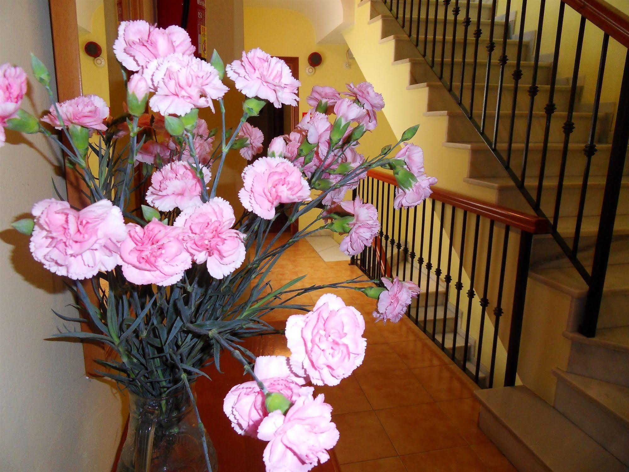 Hotel Marbella Fuengirola Buitenkant foto